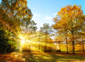 bigstock-Sunny-Autumn-Scenery-In-An-Idy-99263519